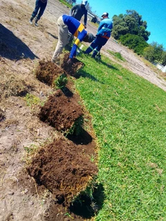 Delivery and installation off national grass