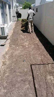 Supply and installa Lm Berea grass