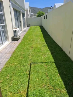 Supply and installa Lm Berea grass