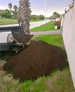 Delivery and installa buffalo grass