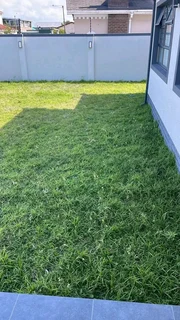 Delivery and installa buffalo grass