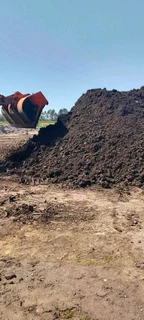 Delivery and installa buffalo grass