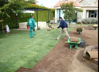 we supply and installa off Kikuyu grass