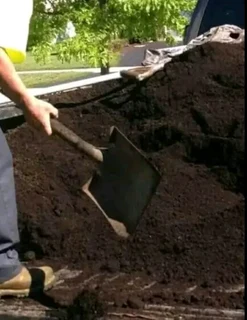 we supply and installa off Kikuyu grass