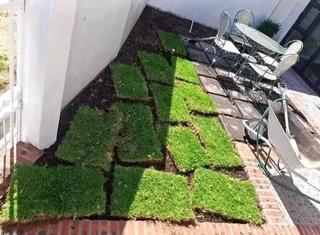 we supply and installa off Kikuyu grass