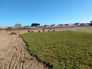 Roll on lawn Kikuyu grass