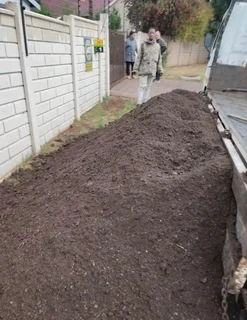 Roll on lawn Kikuyu grass