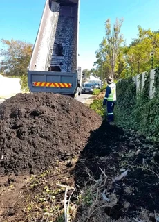 Roll on lawn Kikuyu grass