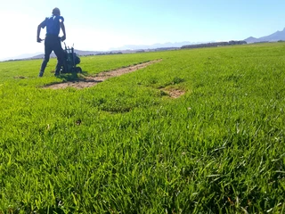 Delivery and installation off national green grass