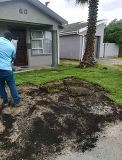 Roll on lawn Lm Berea grass