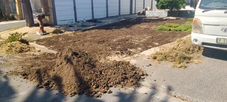 Roll on lawn Lm Berea grass