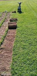 We supply call type of roll on lawn grass