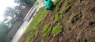 We supply call type of roll on lawn grass