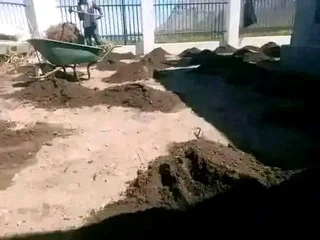 We supply call type of roll on lawn grass