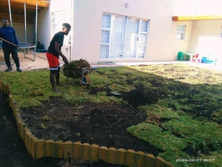 Delivery and installa buffalo grass