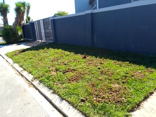 Supply and installa Lm Berea grass    call or WhatsApp.  0672707801