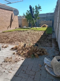 Supply and installa Lm Berea grass    call or WhatsApp.  0672707801