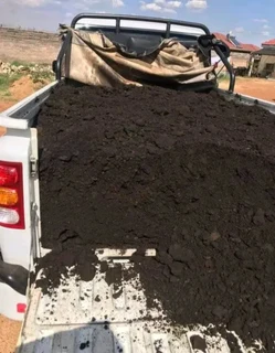 We supply and installa buffalo grass and Kikuyu grass.       0672707801