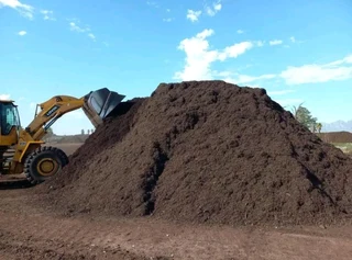 Roll on lawn national grass    0672707801