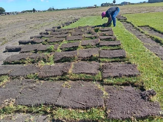 Roll on lawn national grass    0672707801