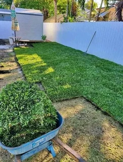 Roll on lawn fresh and green grass.  0672707801