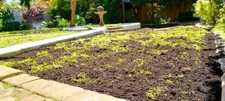 Lawn dressing &amp; compost weed free