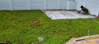 We do sell roll on lawn Kikuyu grass