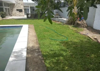 We do sell roll on lawn Kikuyu grass