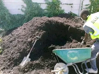 We do sell roll on lawn Kikuyu grass