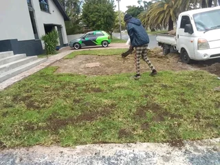 Supply and installa off roll on lawn national grass