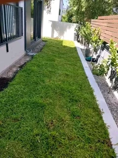 Roll on lawn Lm Berea grass and Kikuyu grass