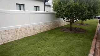 Green and fresh national grass