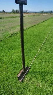 Green and fresh national grass