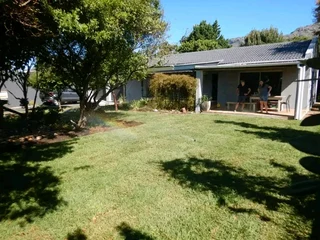 Green and fresh national grass