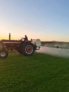 Roll on lawn Kikuyu grass and buffalo grass