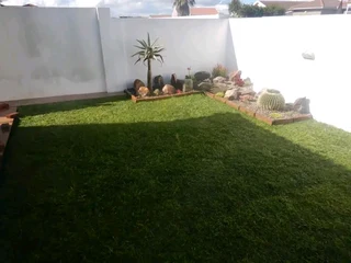 Lawn national grass and top soil weed free