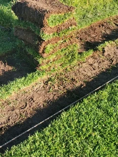 Lawn national grass and top soil weed free