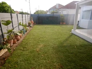 Lm Berea grass and buffalo grass