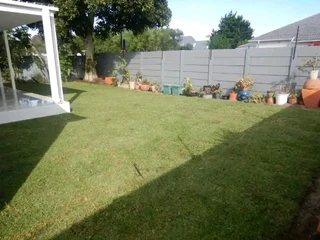 Lm Berea grass and buffalo grass