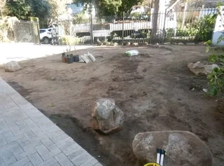 Lm Berea grass and buffalo grass