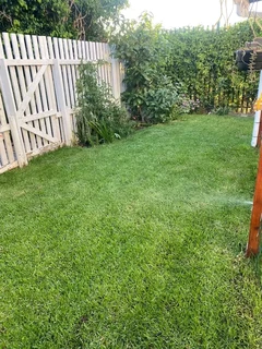 Lm Berea grass and buffalo grass