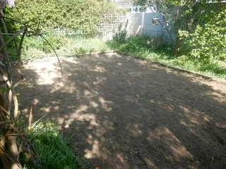 Lm Berea grass and buffalo grass