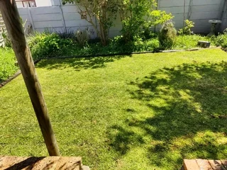 Lm Berea grass and buffalo grass