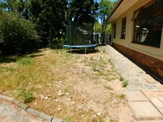 Roll on lawn Lm Berea grass