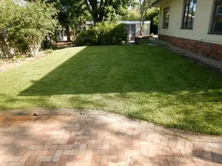 Roll on lawn Lm Berea grass