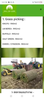 We do sell roll on lawn Kikuyu grass & buffalo grass. 0672707801