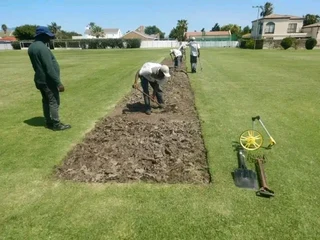 We do sell roll on lawn Kikuyu grass &amp; buffalo grass. 0672707801