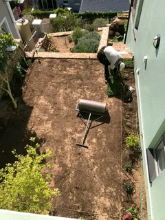 Delivery and installa off roll on lawn Lm Berea grass