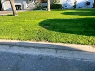 We supply and installa buffalo grass