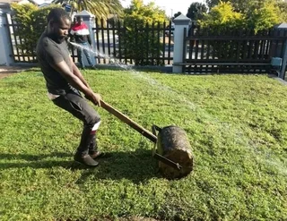 Supply and installa Lm Berea grass